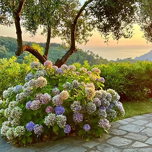 https://incanto-san-bernardino.hotelitalianriviera.com